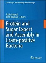 Protein And Sugar Export And Assembly In Gram-Positive Bacteria