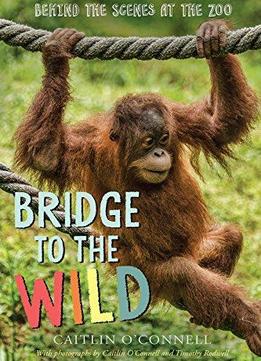 Bridge To The Wild: Behind The Scenes At The Zoo