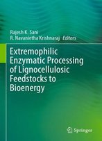 Extremophilic Enzymatic Processing Of Lignocellulosic Feedstocks To Bioenergy