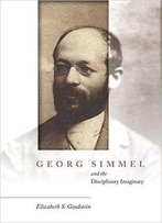 Georg Simmel And The Disciplinary Imaginary