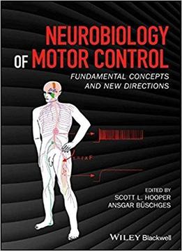 Neurobiology Of Motor Control: Fundamental Concepts And New Directions