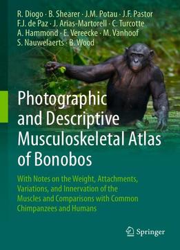Photographic And Descriptive Musculoskeletal Atlas Of Bonobos