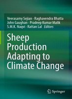 Sheep Production Adapting To Climate Change