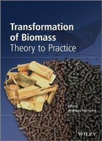 Transformation Of Biomass: Theory To Practice