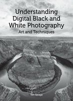 Understanding Digital Black And White Photography: Art And Techniques