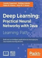Deep Learning: Practical Neural Networks With Java