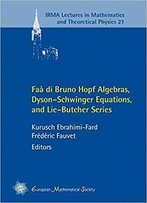 Faa Di Bruno Hopf Algebras, Dyson-Schwinger Equations, And Lie-Butcher Series