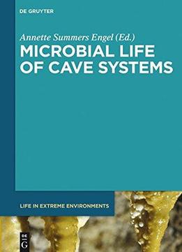 Microbial Life Of Cave Systems