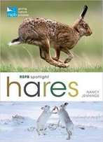 Rspb Spotlight Hares