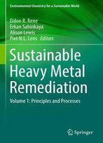 Sustainable Heavy Metal Remediation Volume 1: Principles And Processes