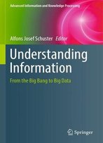 Understanding Information: From The Big Bang To Big Data