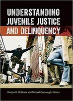 Understanding Juvenile Justice And Delinquency