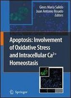 Apoptosis: Involvement Of Oxidative Stress And Intracellular Ca2+ Homeostasis
