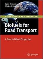 Biofuels For Road Transport: A Seed To Wheel Perspective (Green Energy And Technology)