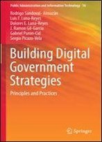 Building Digital Government Strategies: Principles And Practices (Public Administration And Information Technology)