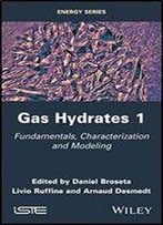 Gas Hydrates: Fundamentals, Characterization And Modeling (Energy)