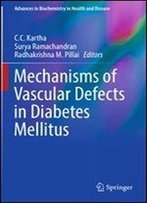 Mechanisms Of Vascular Defects In Diabetes Mellitus (Advances In Biochemistry In Health And Disease)