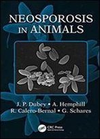 Neosporosis In Animals