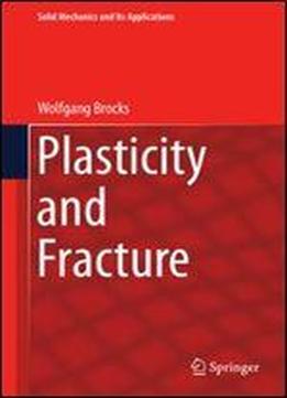 Plasticity And Fracture (solid Mechanics And Its Applications)