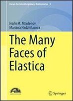 The Many Faces Of Elastica (Forum For Interdisciplinary Mathematics)