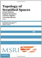 Topology Of Stratified Spaces (Mathematical Sciences Research Institute Publications)