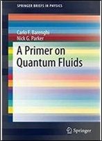A Primer On Quantum Fluids (Springerbriefs In Physics)