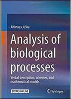 Analysis Of Biological Processes: Verbal Description, Schemes, And Mathematical Models