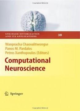 Computational Neuroscience (springer Optimization And Its Applications)