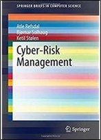 Cyber-Risk Management (Springerbriefs In Computer Science)