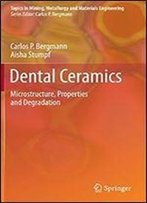 Dental Ceramics: Microstructure, Properties And Degradation (Topics In Mining, Metallurgy And Materials Engineering)