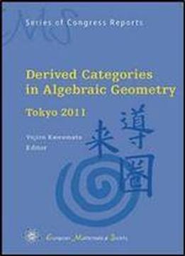 Derived Categories In Algebraic Geometry: Tokyo 2011 (ems Series Of Congress Reports)