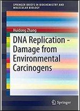 Dna Replication - Damage From Environmental Carcinogens (springerbriefs In Biochemistry And Molecular Biology)