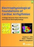 Electrophysiological Foundations Of Cardiac Arrhythmias: A Bridge Between Basic Mechanisms And Clinical Electrophysiology