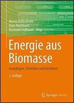 Energie Aus Biomasse: Grundlagen, Techniken Und Verfahren (german Edition)
