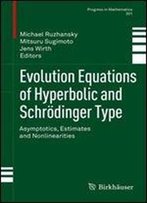 Evolution Equations Of Hyperbolic And Schrodinger Type: Asymptotics, Estimates And Nonlinearities (Progress In Mathematics)
