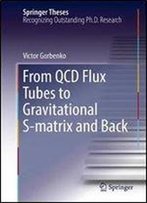 From Qcd Flux Tubes To Gravitational S-Matrix And Back (Springer Theses)