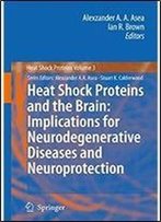 Heat Shock Proteins And The Brain: Implications For Neurodegenerative Diseases And Neuroprotection