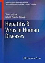 Hepatitis B Virus In Human Diseases (Molecular And Translational Medicine)