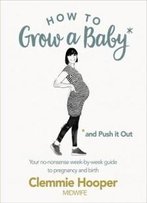 How To Grow A Baby And Push It Out: A Guide To Pregnancy And Birth Straight From The Midwife's Mouth