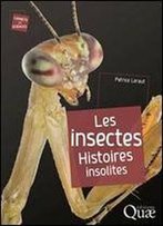 Les Insectes Histoires Insolites