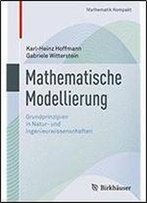 Mathematische Modellierung: Grundprinzipien In Natur- Und Ingenieurwissenschaften (Mathematik Kompakt)