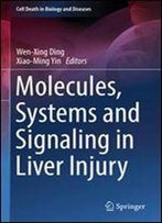 Molecules, Systems And Signaling In Liver Injury (Cell Death In Biology And Diseases)