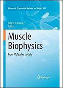 Muscle Biophysics: From Molecules To Cells (advances In Experimental Medicine And Biology)