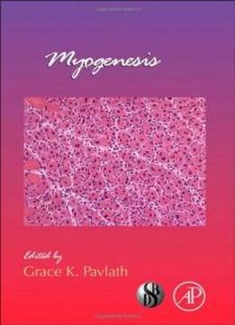 Myogenesis, Volume 96 (current Topics In Developmental Biology)