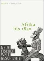 Neue Fischer Weltgeschichte. Band 19
