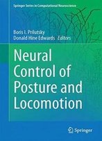 Neuromechanical Modeling Of Posture And Locomotion (Springer Series In Computational Neuroscience)