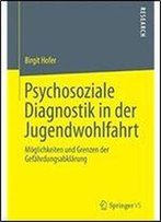 Psychosoziale Diagnostik In Der Jugendwohlfahrt: Moglichkeiten Und Grenzen Der Gefahrdungsabklarung (German Edition)