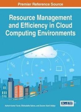 Resource Management And Efficiency In Cloud Computing Environments