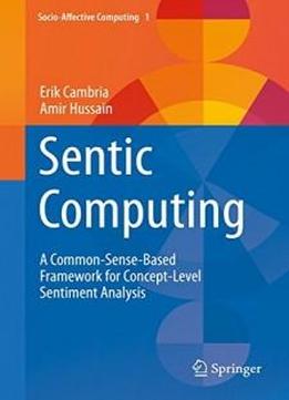 Sentic Computing: A Common-sense-based Framework For Concept-level Sentiment Analysis (socio-affective Computing)