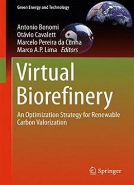 Virtual Biorefinery: An Optimization Strategy For Renewable Carbon Valorization (green Energy And Technology)